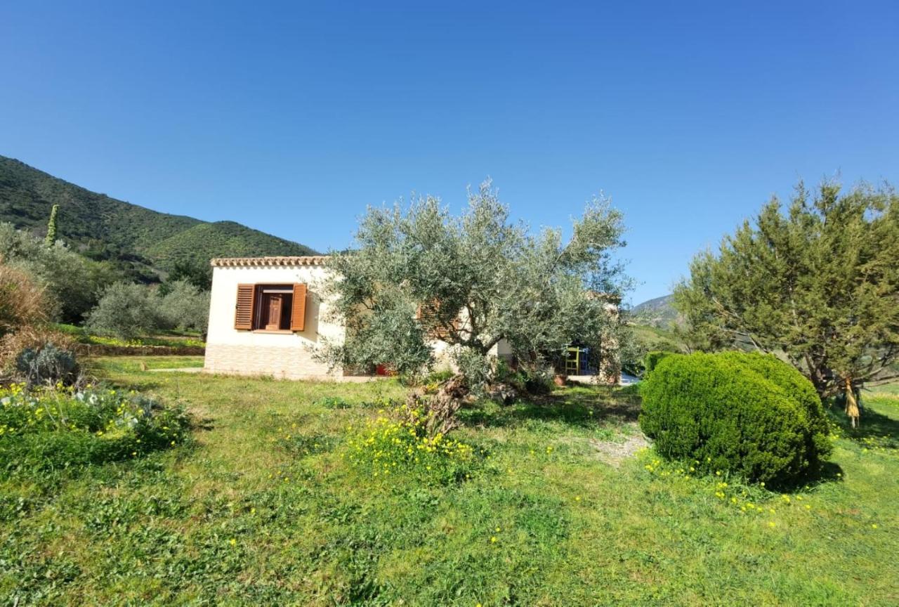 Domu Abi Manna Villa Tertenia Bagian luar foto